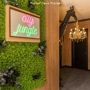 Jungle, Terre Marine Affittacamere